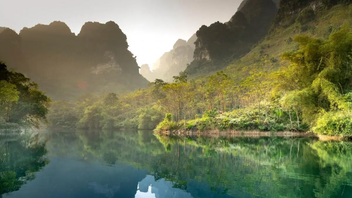 高性能高效